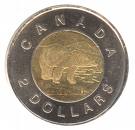 Picture of a toonie.